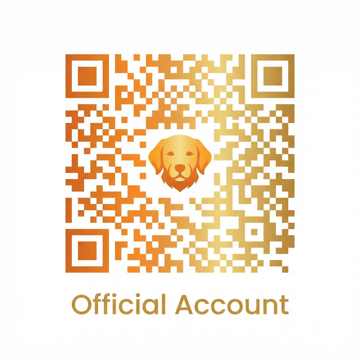 每日大赛公众号二维码